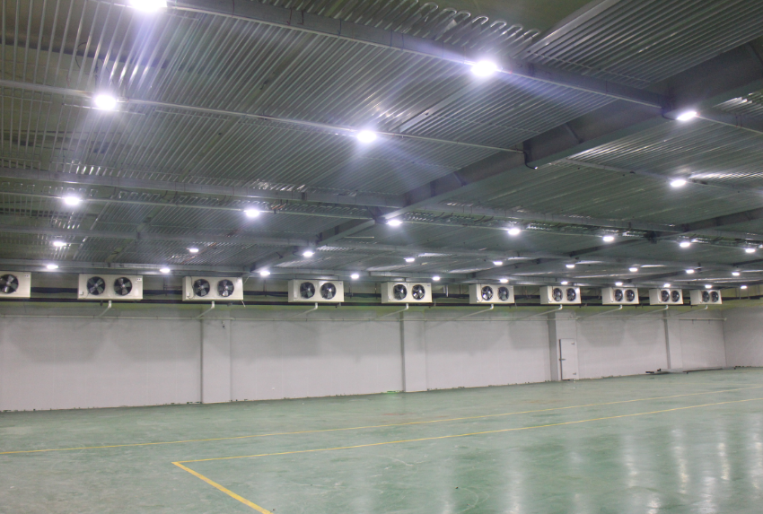 500噸冷凍肉冷庫建造，-18℃低溫肉類冷凍庫安裝造價