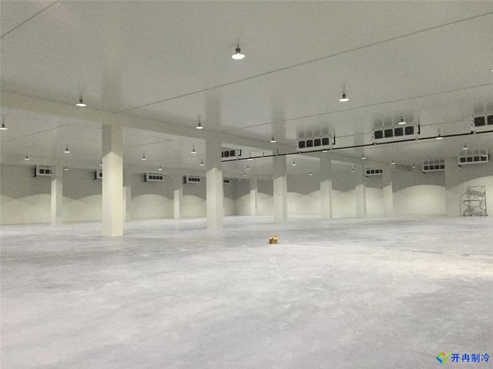 上海建500平米冷凍庫,冷庫造價(jià)成本多少錢